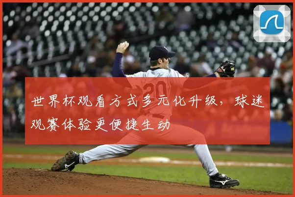 世界杯观看方式多元化升级,球迷观赛体验更便捷生动