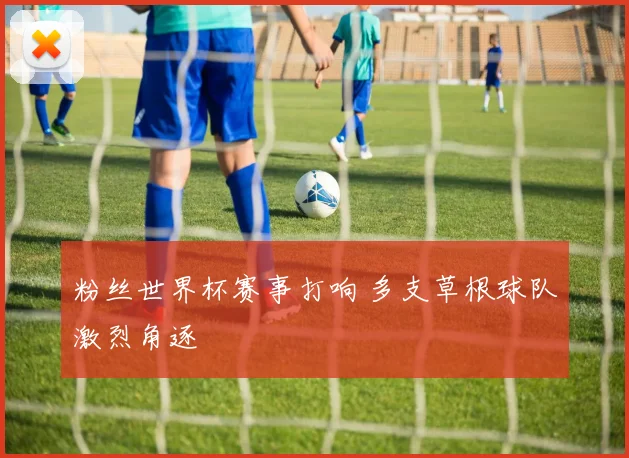 粉丝世界杯赛事打响 多支草根球队激烈角逐