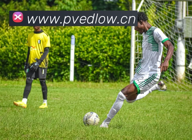 App Interface Preview